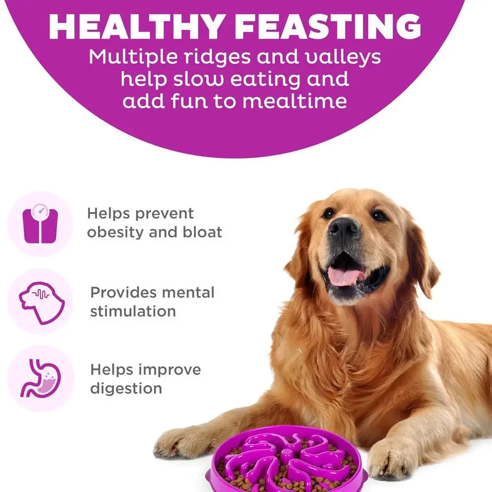 Large Slow Feeder Bowl, Puzzle Maze for Fast Eaters, Medium to Large Dogs,